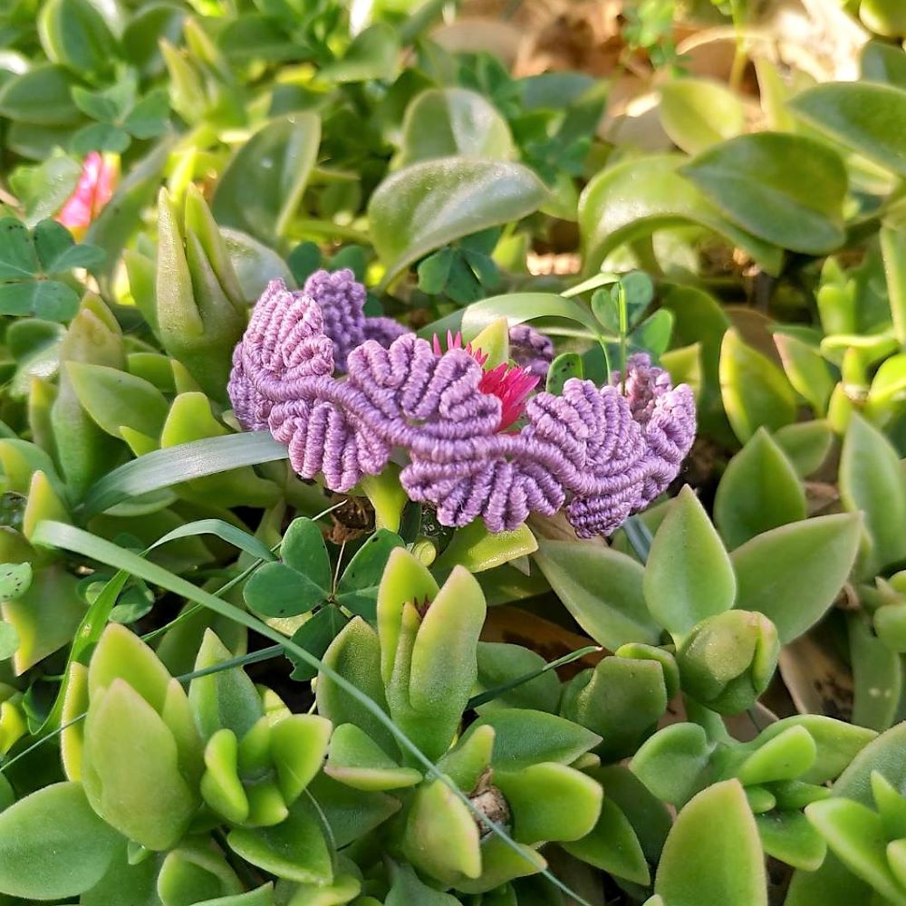 Χειροποίητο μωβ μακραμέ βραχιόλι με ανθισμένο σχέδιο και μεταλλικό κουμπί